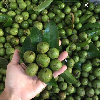 1Kg Quả xấu tươi