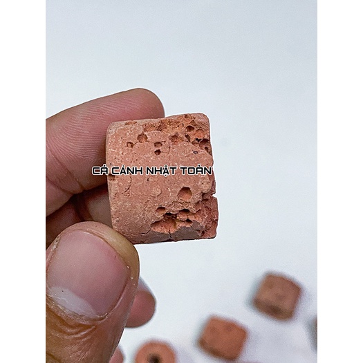 SỨ LỌC VIÊN SỨ VIÊN ĐỎ VẬT LIỆU LỌC CHO BỂ CÁ CẢNH 1KG