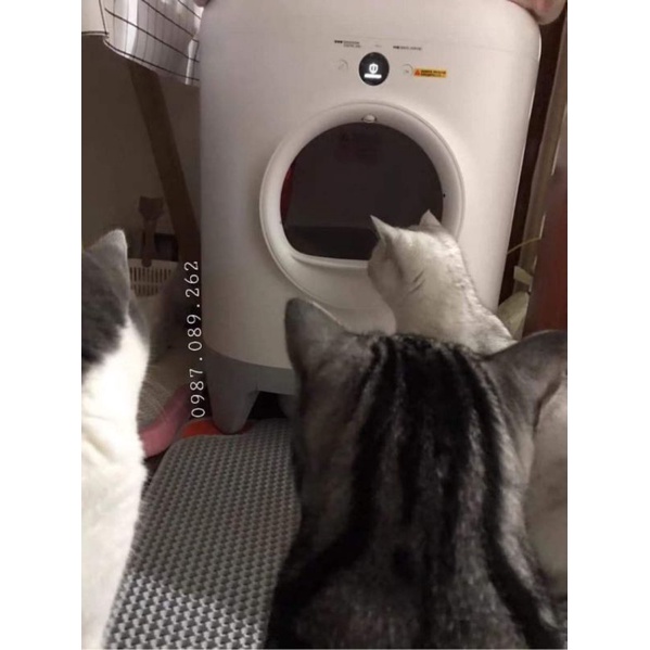 Máy vệ sinh mèo tự động Pura Max - máy dọn phân mèo tự động Pura Max