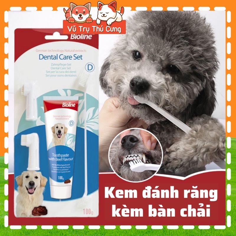 Bộ bàn chải và kem đánh răng cho Chó Bioline 100g, sạch răng, giảm hôi miệng thú cưng