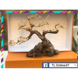[Siêu Rẻ] Bonsai mini bể cá để bàn D28xC19