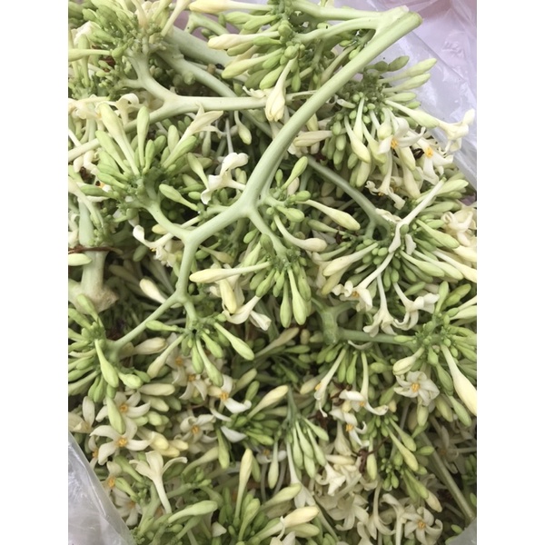 Hoa đu đủ đực khô 1kg