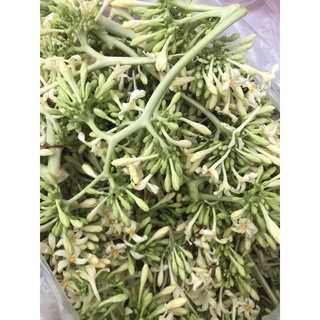Hoa đu đủ đực khô 1kg