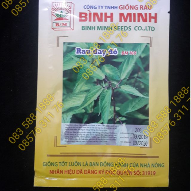Hạt Giống rau đay đỏ 20gr