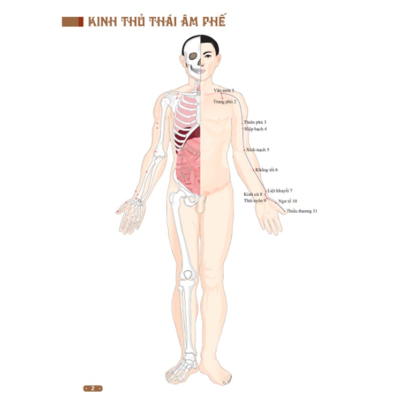 Sách - Đồ giải kinh lạc huyệt vị cơ thể (bìa mềm)