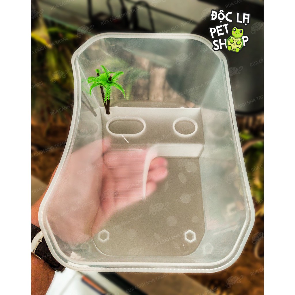 Hồ Nuôi Rùa, Bể Nuôi Rùa, Nuôi Bò Sát