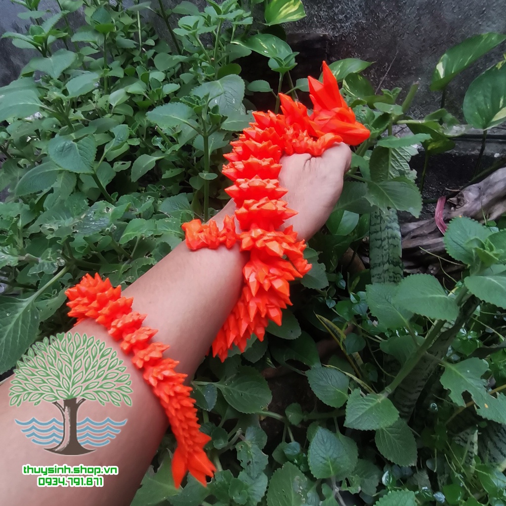 Mô Hình Rồng Crystal_rồng băng cử động khớp linh động bằng công nghệ in 3D trang trí nhà cửa, phong thủy