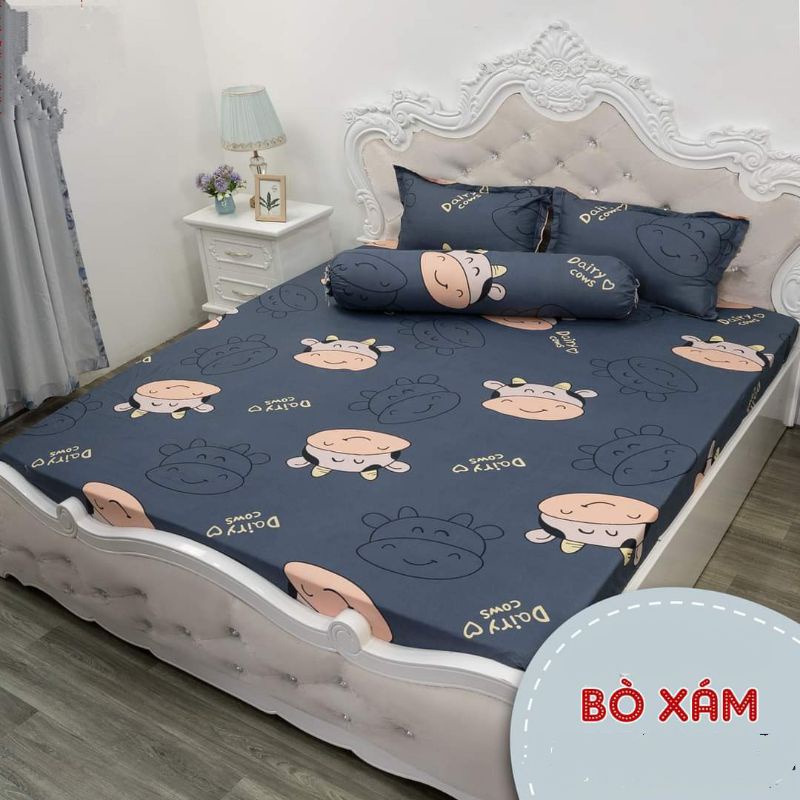 Bộ ga giường và vỏ gối Cotton Poly - Decor phòng ngủ với ga giường cotton siêu đẹp