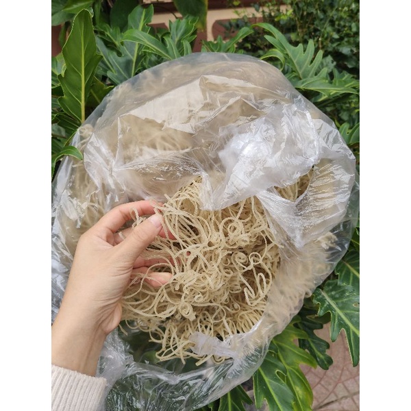 Miến dong Sơn La thái rối