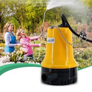 Bơm chìm vàng 12v bl-2512n