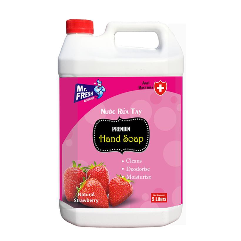 Can Nước Rửa Tay Premium Hand Soap Mr Fresh Hàn Quốc 5L