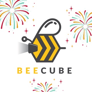 Beecube Flagship Store