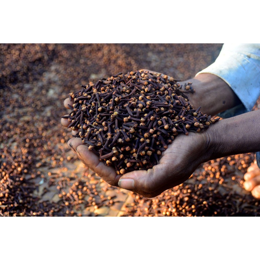 Cloves whole Đinh Hương Indonesia nguyên nụ Hũ 120ml