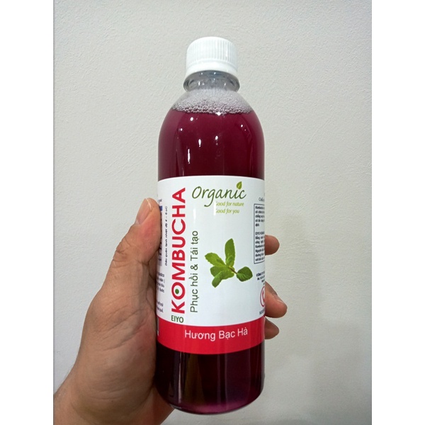 TRÀ EIYO KOMBUCHA – MÙI BẠC HÀ (Restore and Regenerate – Peppermint)