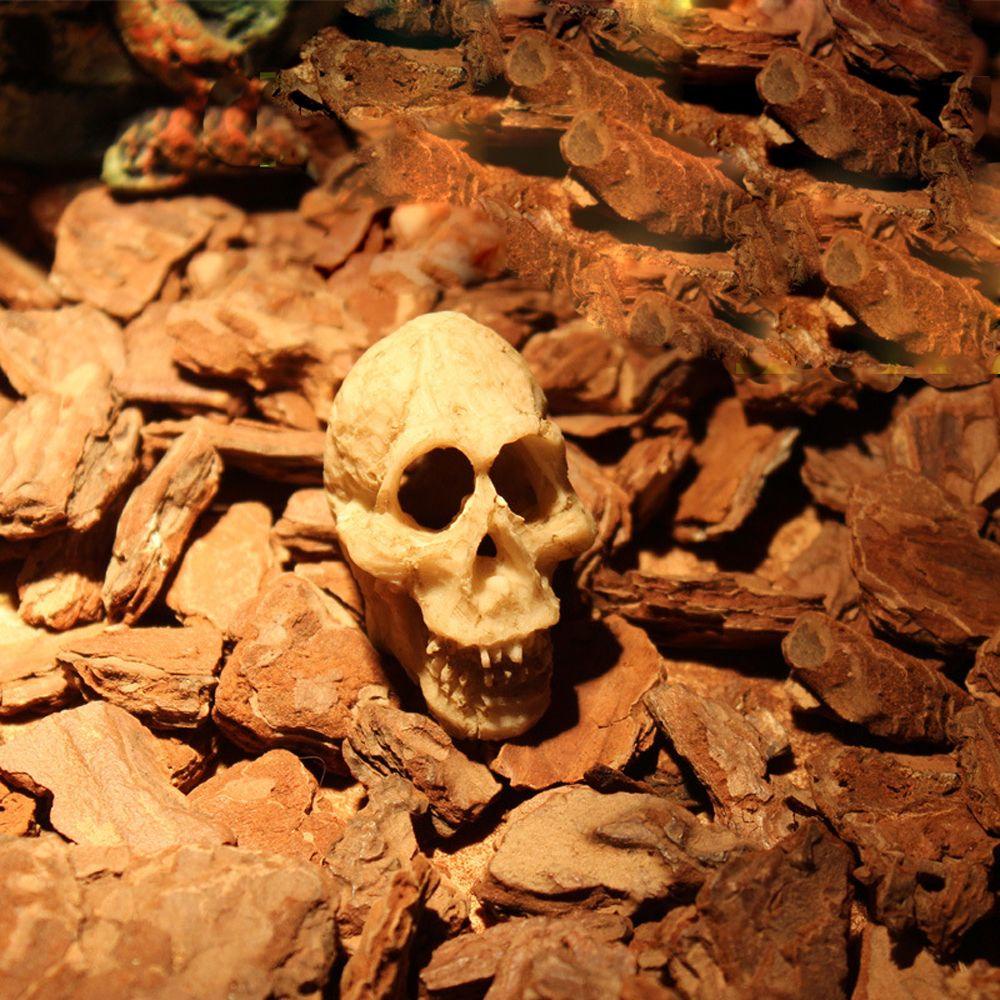 Xương Sọ Nhân Tạo Bằng Resin Tổng Hợp Kích Thước Nhỏ Trang Trí Bể Cá Phong Cách Thời Trang