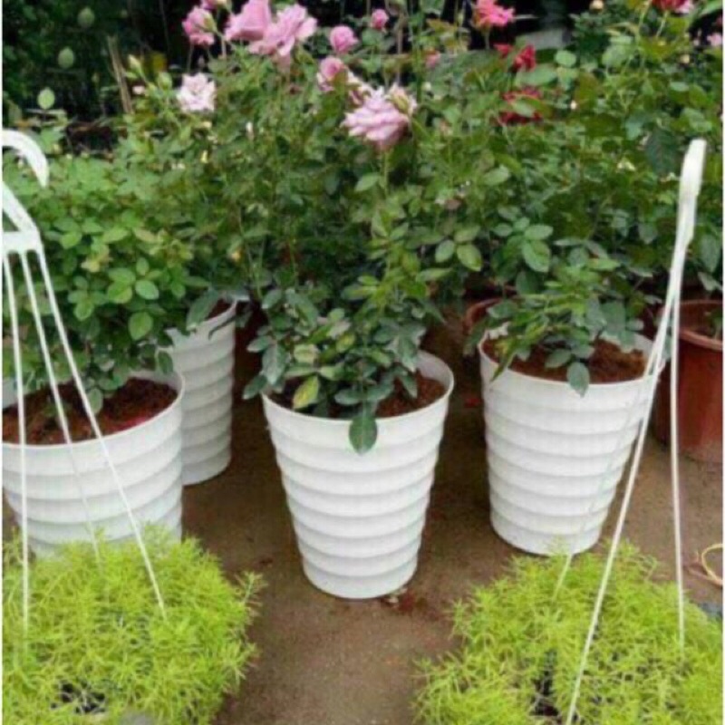 Chậu nhựa vòng tròn, xoắn đen, trắng trồng cây size to 36x32cm, derco siêu đẹp, hàng sẵn kho