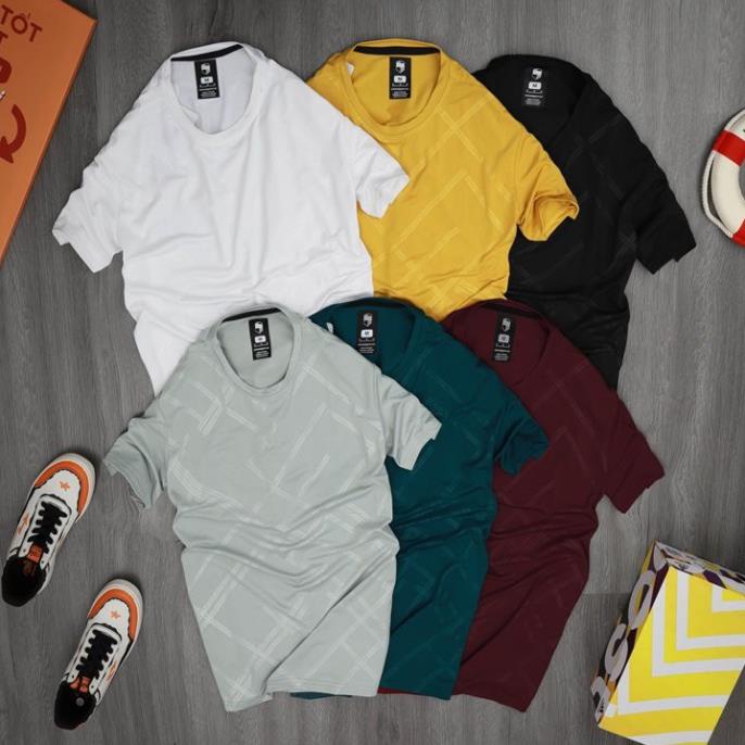 Áo Thun Thể Thao Cao Cấp 100% Poly Co Giãn 4 Chiều Áo Phông Nam Thể thao Siêu Mát BS00 - Big Sport ⚡