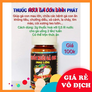 Nuôi Gà Con Mau Lớn