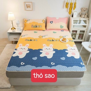 Chiếu điều hòa cao su non Decor 4.0