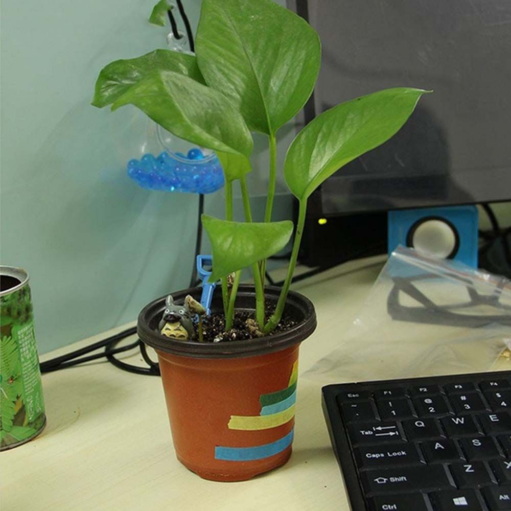 Epoch Set 10 Chậu Nhựa Tròn Trồng Cây Trang Trí Nhà Cửa