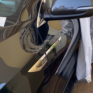 Ốp mang cá của ôto