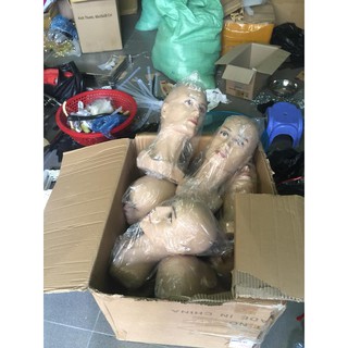Đầu manocanh nam màu da