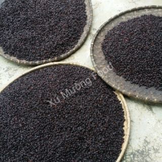 (1kg) Hạt Dổi Nếp Rừng xịn