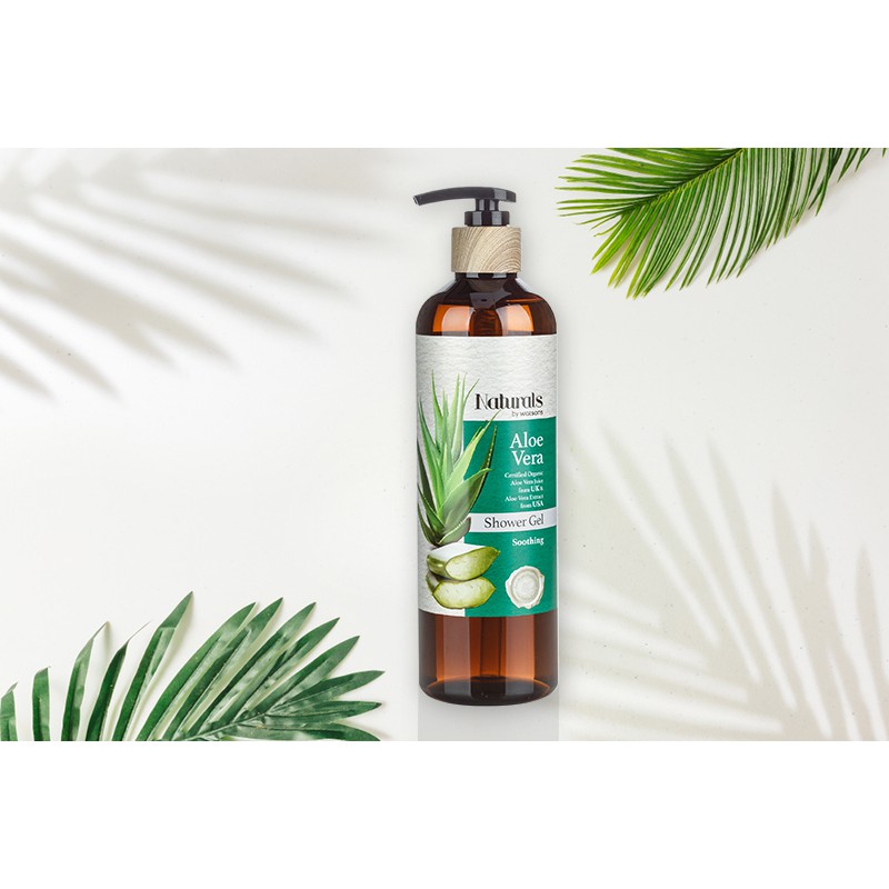 Gel Tắm Naturals By Watsons Chiết Xuất Nha Đam Aloe Vera 490ml