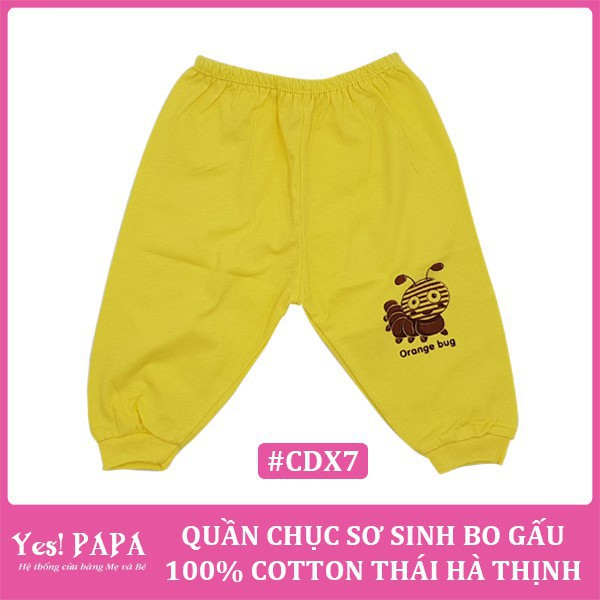 COMBO 10 quần sơ sinh bo gấu 100% cotton Thái Hà Thịnh