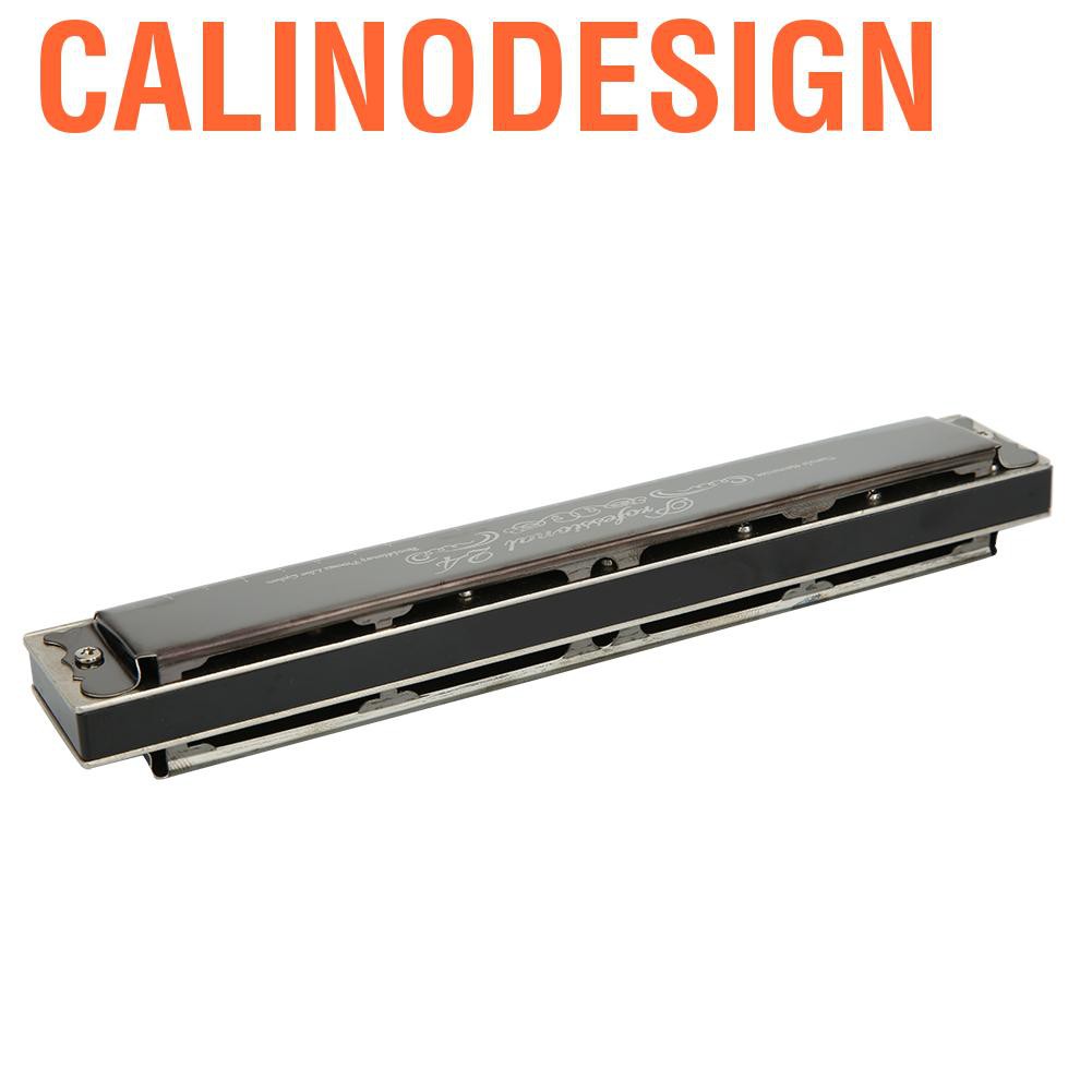 Kèn Harmonica Diatonic Chuyên Nghiệp