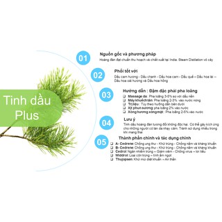 Tinh dầu hoàng đàn nguyên chất