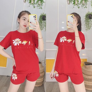 Set bộ đùi xuân hè dễ thương sbn_106
