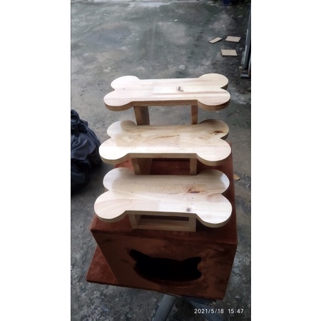 Bật thang máy vệ sinh tự động cho mèo