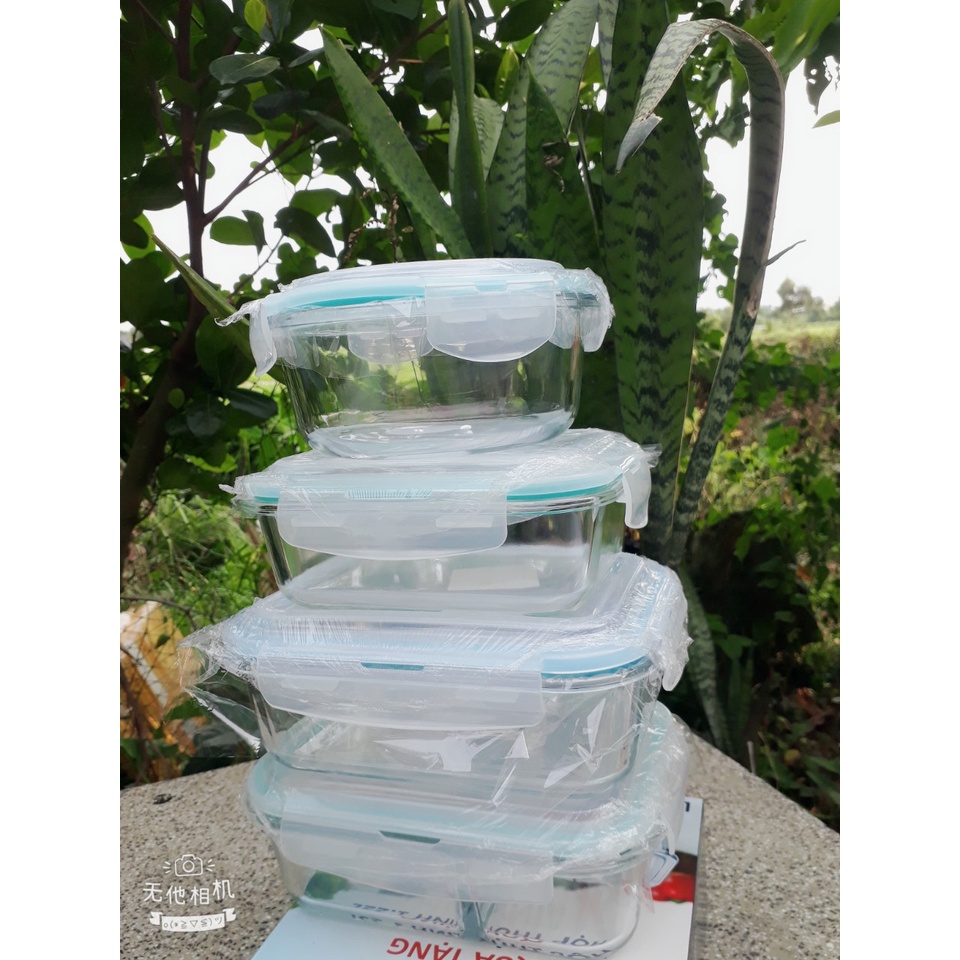 Mẫu thủy tinh đựng thực phẩm_mang cơm văn phòng