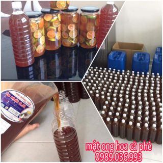 Mật ong rừng, mật ong hoa cà phê nguyên chất 100%
