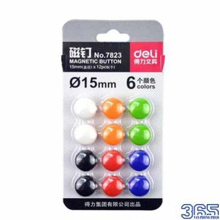 NAM CHÂM GẮN BẢNG TỪ VỈ 12 VIÊN