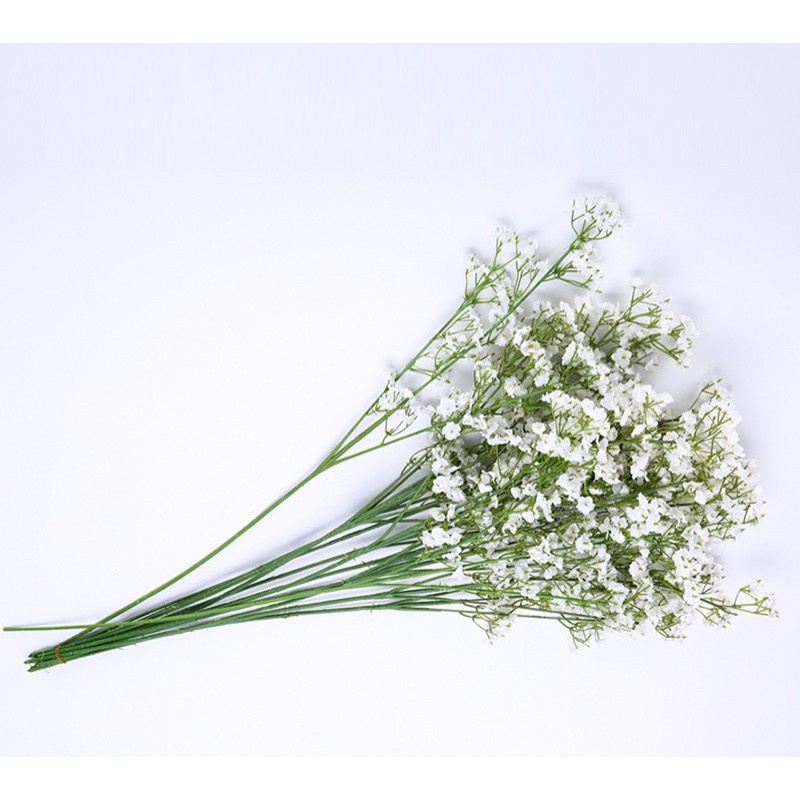 Bộ sưu tập lá - Chụp ảnh decor CHÙM HOA BABY TRANG TRÍ