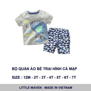 Bộ little Maven