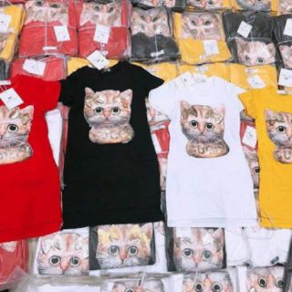 Combo ctv Khánh Ngọc