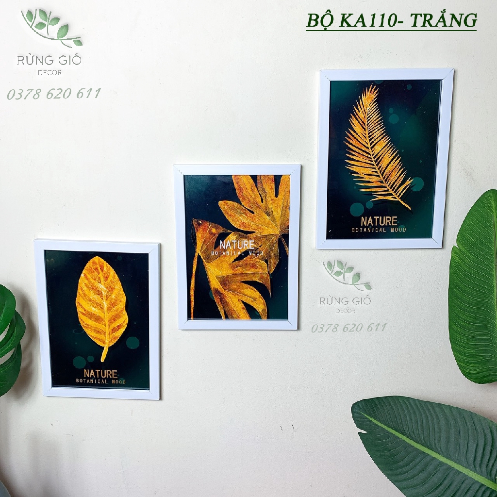 Khung ảnh trang trí bộ 3 khung kèm ảnh i hình cỡ 21x30, ảnh thật.