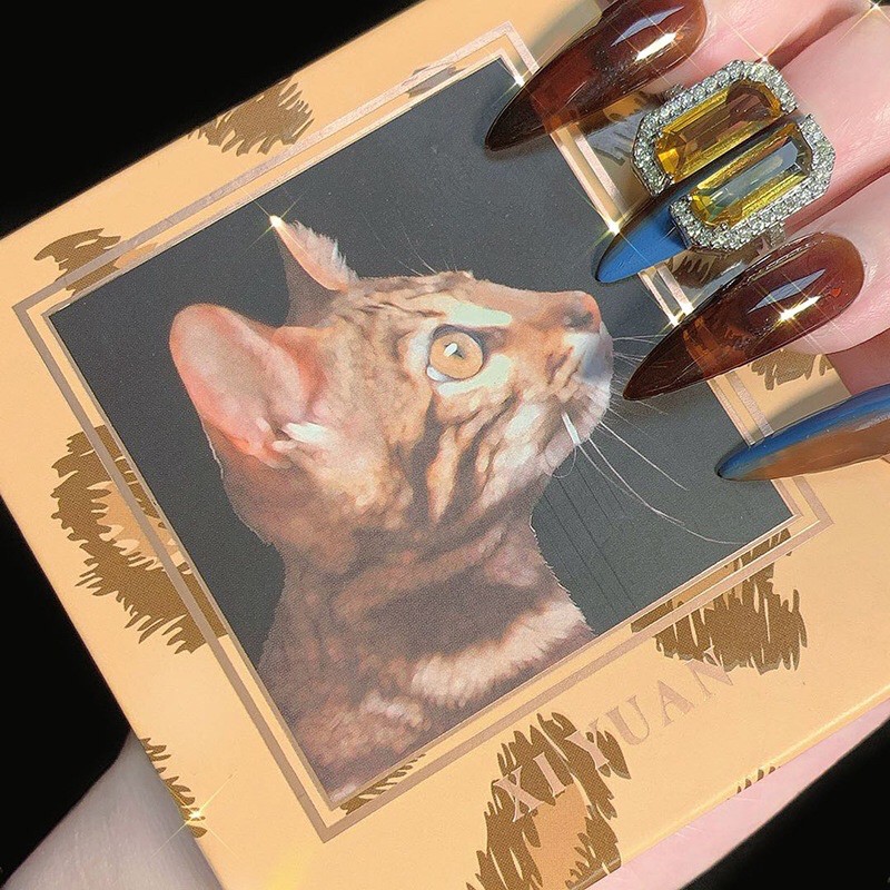 Bảng Phấn Mắt 4 Màu Mắt Mèo XIYUAN | BigBuy360 - bigbuy360.vn