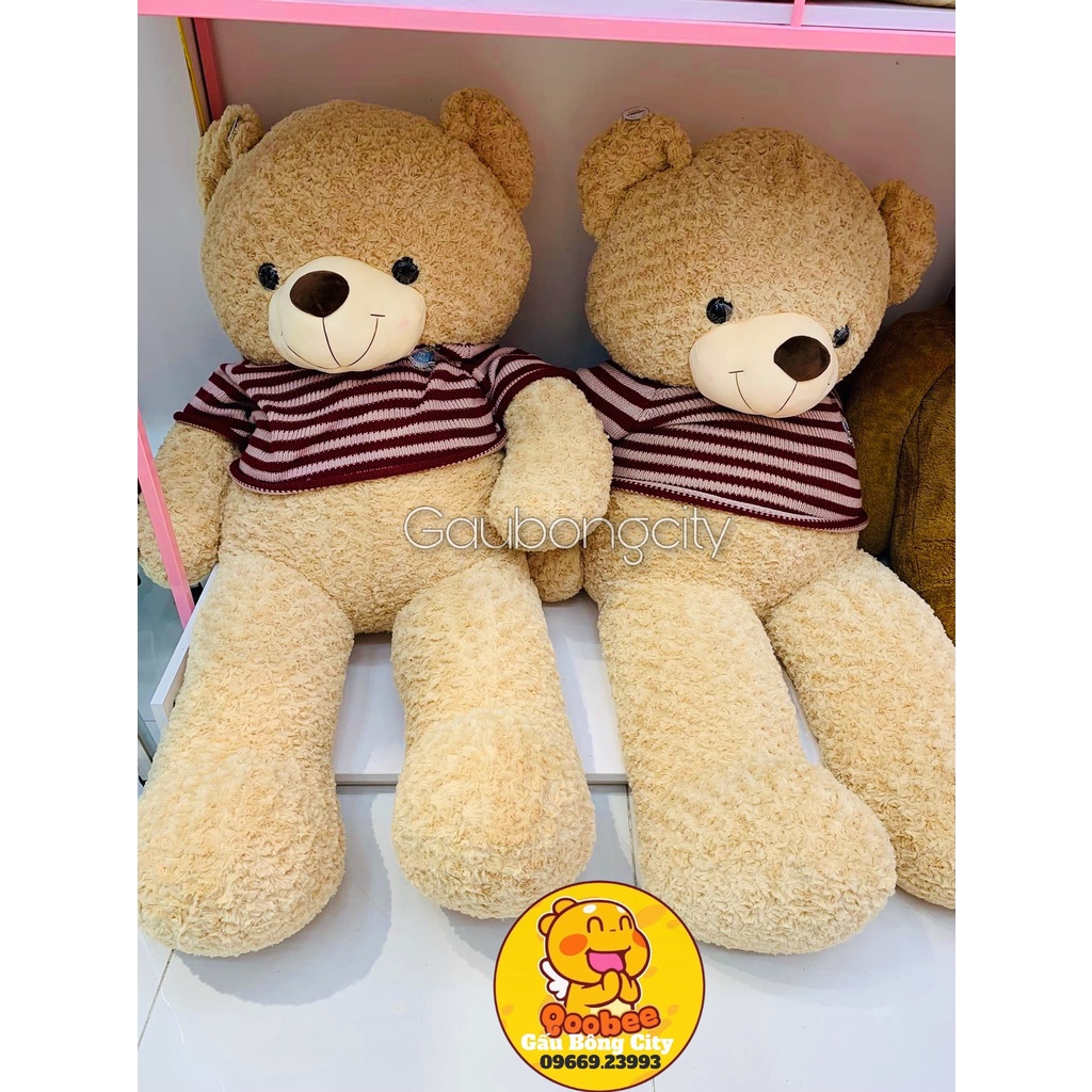 Gấu Bông Teddy Áo Len Baby - Teddy Nhồi Bông Nhập Khẩu Quà Tặng Cao Cấp