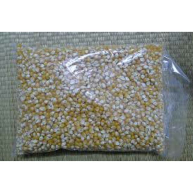 1 bao 22.28kg BẮP NGÔ MỸ RANG BƠ LOẠI 1