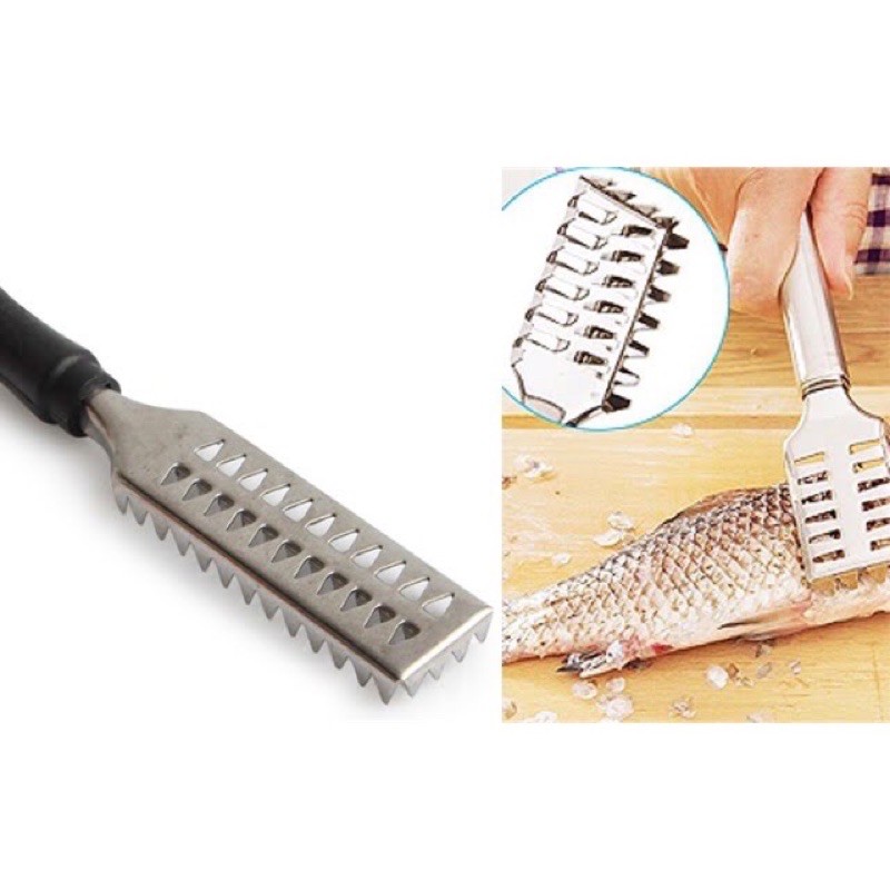Đánh vẩy cá Inox