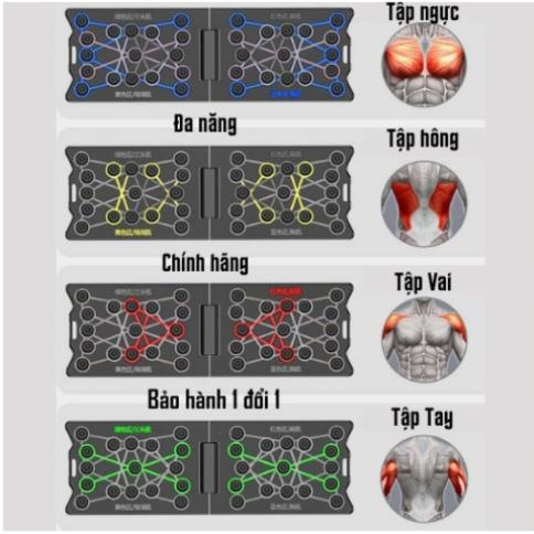 Dụng cụ hít đất chống đẩy đa năng, bộ dụng cụ hít đất chống đẩy thể dục tại nhà có vạch kẻ hangtienichthongminh