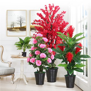 Chậu Hoa Mẫu Đơn Cao 1m2