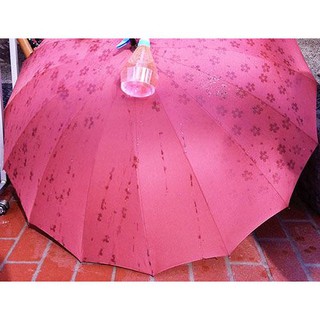 Ô NỞ HOA THẦN KÌ[ GIÁ CHUẨN SHOPEE ]