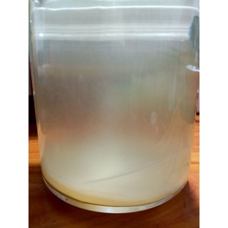 [COMBO]CON GIẤM NUÔI + NƯỚC MỒI