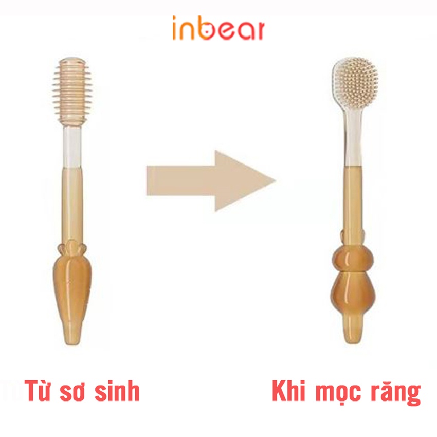 SET Rơ Lưỡi/Tưa Lưỡi Và Bàn Chải Đánh Răng Silicon Cho Bé Inbear