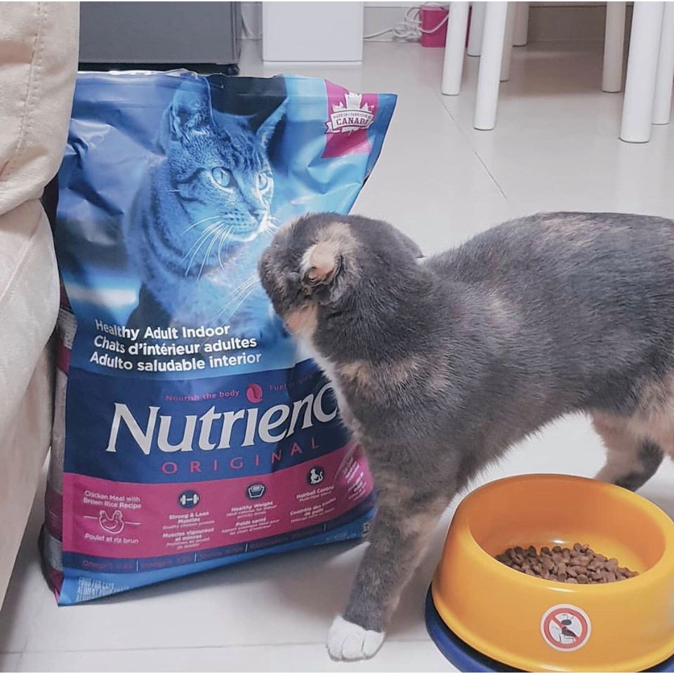 Thức Ăn Cho Mèo Anh Lông Ngắn Nutrience Bao 2,5kg - Thức Ăn Cho Mèo, Vị Thịt Gà, Dầu Cá Hồi, Rau Củ, Trái Cây